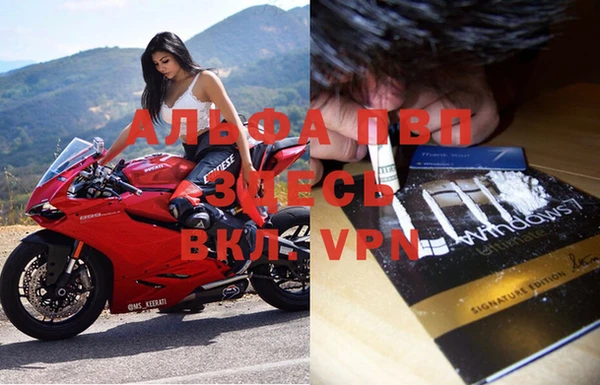 хмурый Зеленокумск